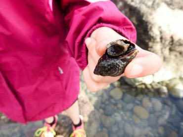 Highlands fieldtrip e June 2016
