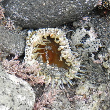 Highlands fieldtrip h June 2016