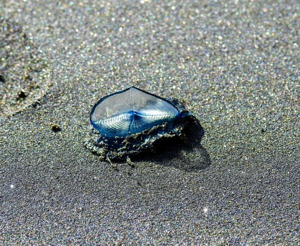 Highlands fieldtrip a June 2016