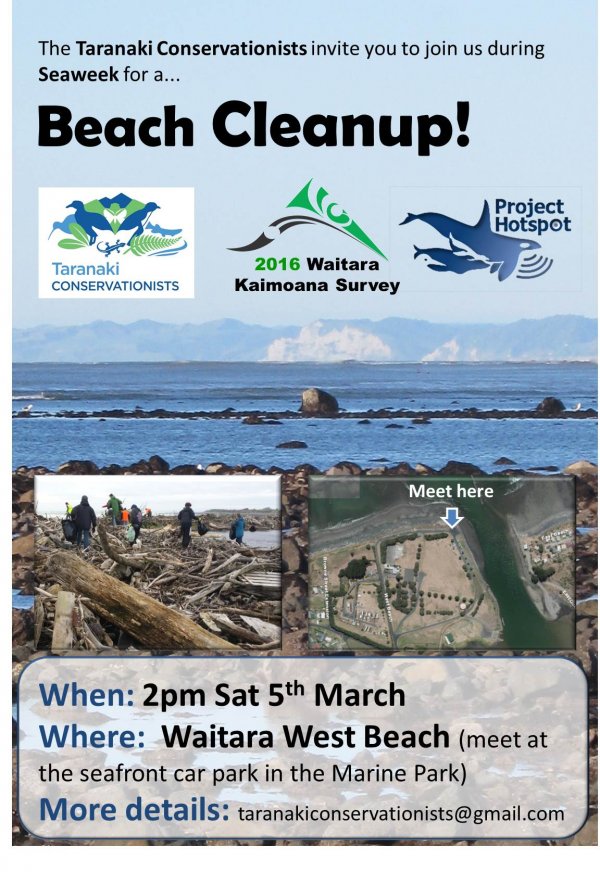 12 Waitara Beach Clean JPG